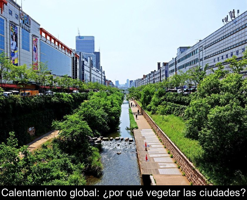 Calentamiento Global: ¿por Qué Vegetar Las Ciudades?
