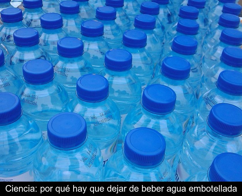 Ciencia: Por Qué Hay Que Dejar De Beber Agua Embotellada