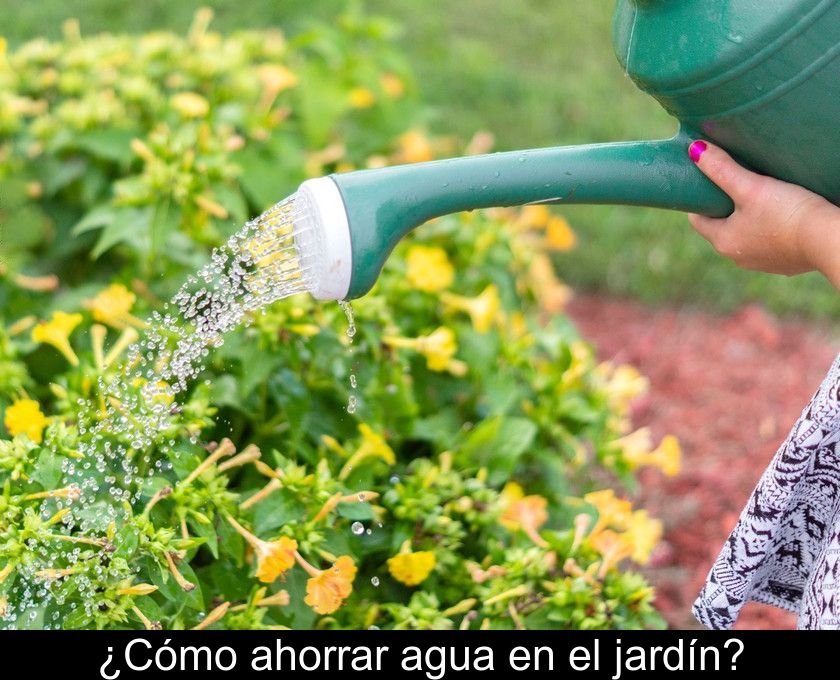 ¿cómo Ahorrar Agua En El Jardín?