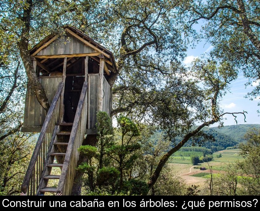 Construir Una Cabaña En Los árboles: ¿qué Permisos?