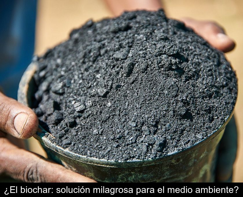 ¿el Biochar: Solución Milagrosa Para El Medio Ambiente?