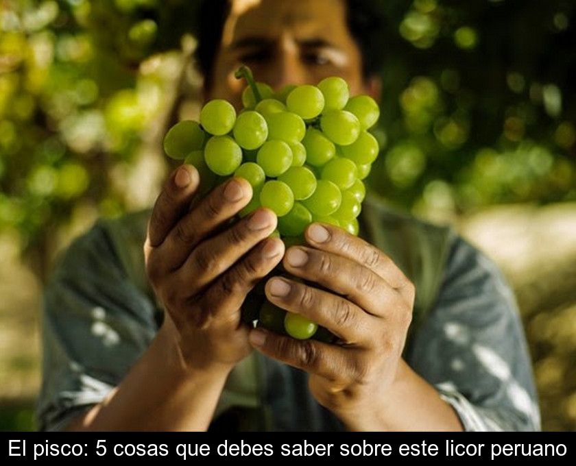 El Pisco: 5 Cosas Que Debes Saber Sobre Este Licor Peruano