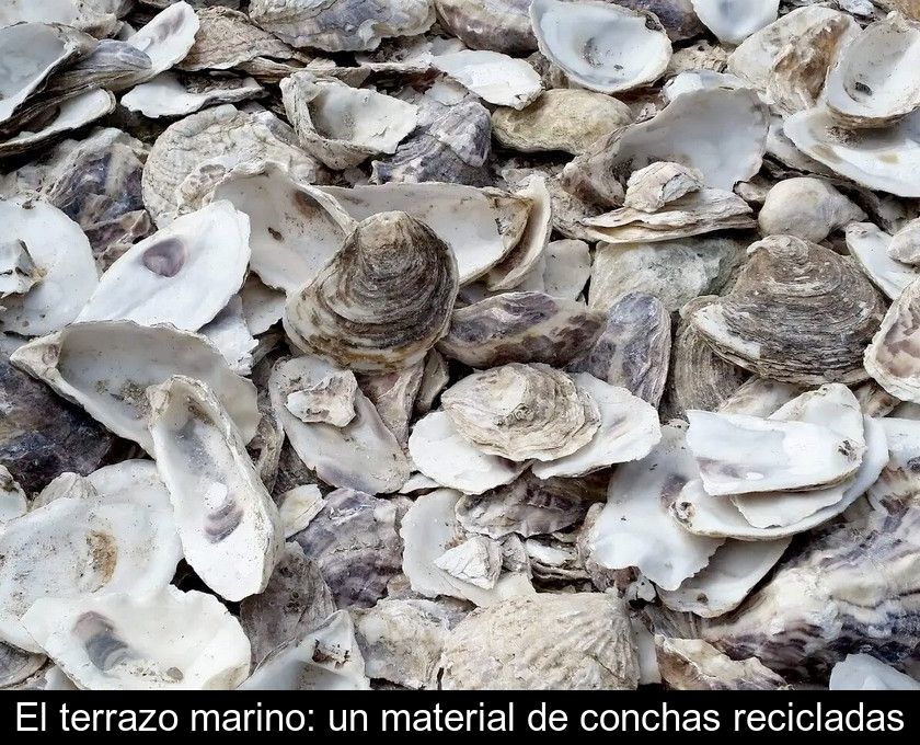 El Terrazo Marino: Un Material De Conchas Recicladas