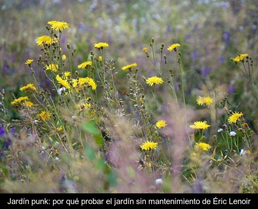 Jardín Punk: Por Qué Probar El Jardín Sin Mantenimiento De Éric Lenoir