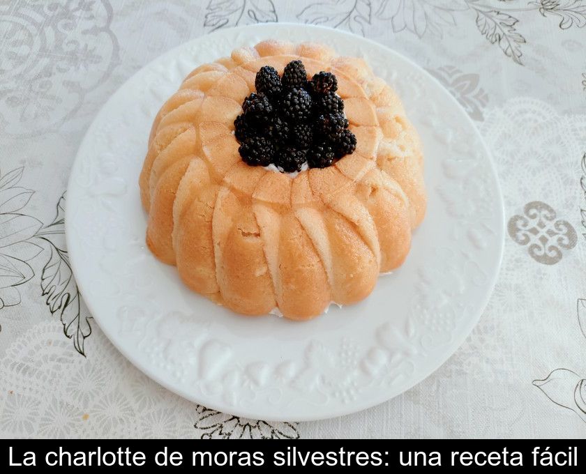 La Charlotte De Moras Silvestres: Una Receta Fácil