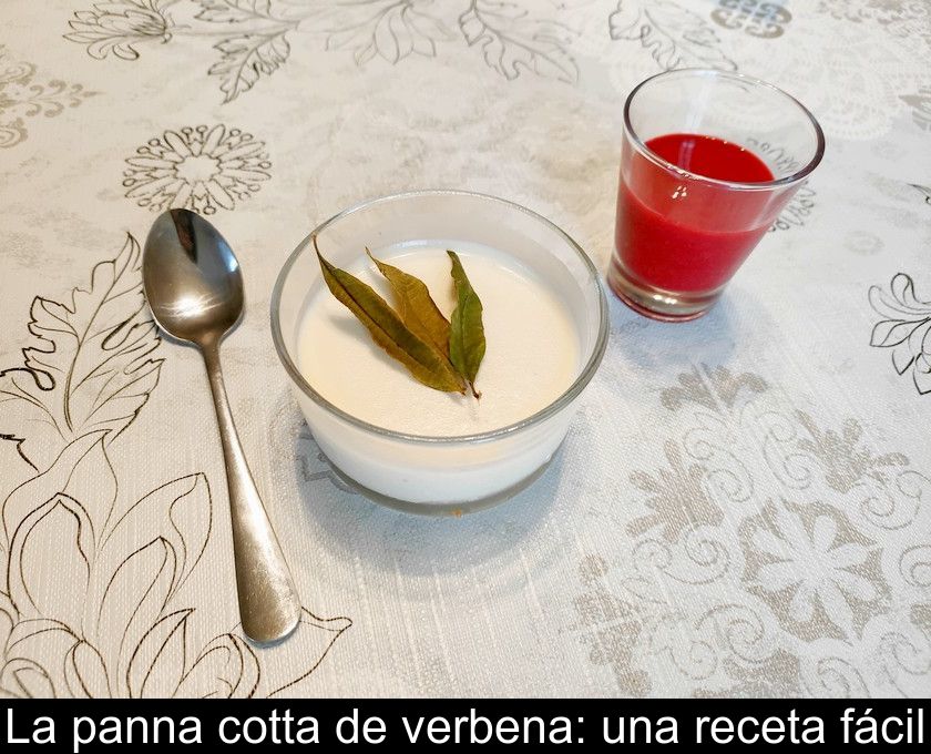 La Panna Cotta De Verbena: Una Receta Fácil