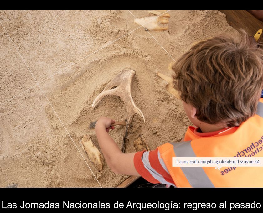 Las Jornadas Nacionales De Arqueología: Regreso Al Pasado