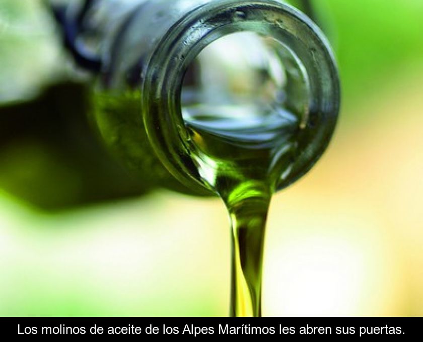 Los Molinos De Aceite De Los Alpes Marítimos Les Abren Sus Puertas.