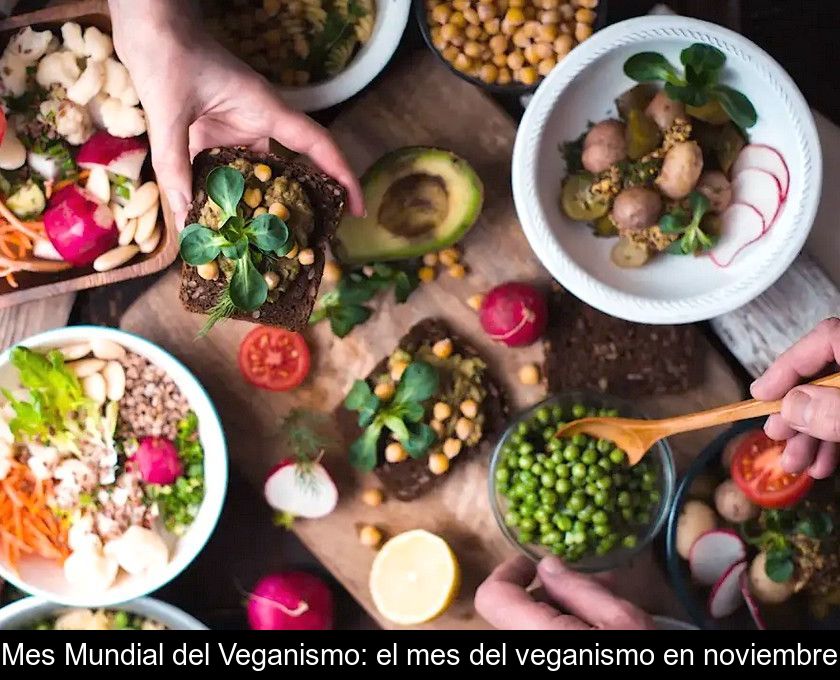 Mes Mundial Del Veganismo: El Mes Del Veganismo En Noviembre