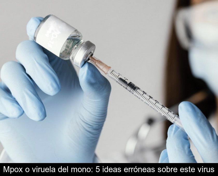 Mpox O Viruela Del Mono: 5 Ideas Erróneas Sobre Este Virus