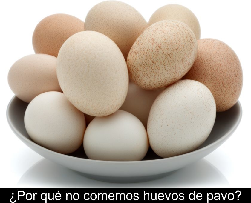 ¿por Qué No Comemos Huevos De Pavo?