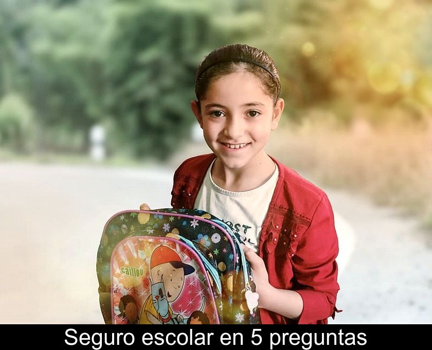 Seguro Escolar En 5 Preguntas