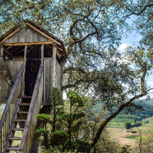 Construir una cabaña en los árboles: ¿qué permisos?