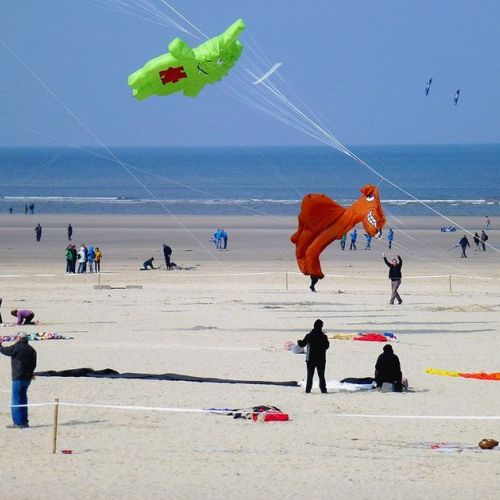 Costa de Ópalo: ¿qué visitar en Berck-sur-Mer?