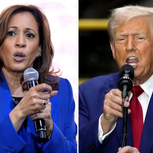 Harris vs Trump: ¿cómo seguir las elecciones presidenciales estadounidenses en televisión?