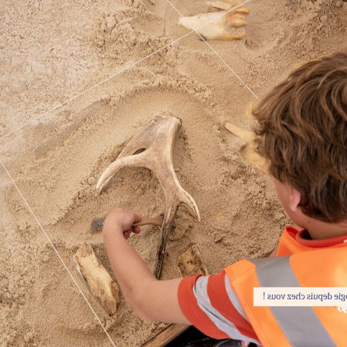 Las Jornadas Nacionales de Arqueología: regreso al pasado