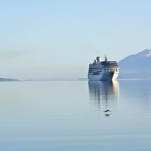 Los cruceros: un lujo y una comodidad inigualables para tus vacaciones.