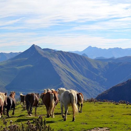 Vacaciones en la montaña: hacia un turismo de cuatro estaciones